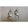 Image 2 : STERLING BISON EARINGS, 4.6g