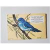 Image 2 : Brooke Bond - Album 9 - Canadian American Songbirds - Complete - 48/48 cards