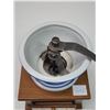 Image 2 : Vintage Ceramic top, coffee grinder