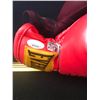 Image 3 : MIKE TYSON SIGNED AND CUSTOM FRAMED BOXING GLOVE DISPLAY (BECKETT COA)