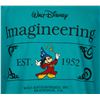 Image 2 : A "Walt Disney Imagineering" Green T-Shirt.