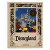 Image 1 : A Disneyland 35 Years of Magic Book.