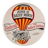 Image 1 : A June is Dairy Month Disneyland Button.