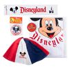 Image 1 : A Vintage Collection of Disneyland Souvenirs.