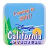 Image 7 : A California Adventure Opening Team Memorabilia.