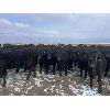 Image 2 : Ed Curry Ranching Ltd. - 660# Steers - 188 Head (Big Stone, AB)
