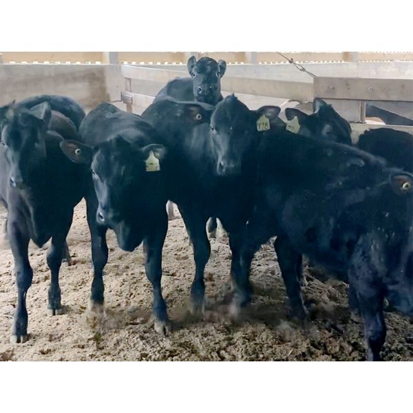 Iberg Farms Ltd. - 55 Mixed (Langley, BC)