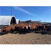 Image 3 : Range 45 Ranch Ltd. - 760# Heifers - 150 Head (Dewberry, AB)