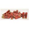 25 WINCHESTER 12 GA. #7 ½ SHOT SHELLS