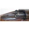 Image 19 : WINCHESTER MODEL 70 22-250 BOLT ACTION
