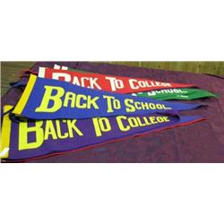 Lot Of 11 ' Back To College' Felt Pennants, Various Colors