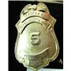 Image 1 : Badge; Special Police, Dept. Of Defense #5, ASLC