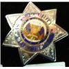 Image 1 : Badge; Security, Special Officer