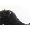 Image 5 : Black Panther Plush - ~33" Long