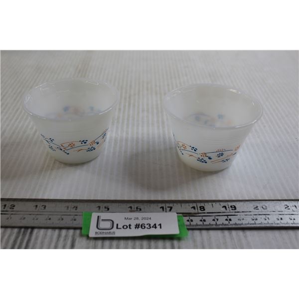 (2) Pyr-o-Rey Custard Dessert Cups