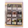 Image 2 : (9 Pgs.) Magic The Gathering Cards (2015, 2017, 2018)