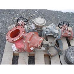 Backflow Preventer Valve & Valve