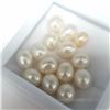 Image 1 : Fresh Water Pearl Half Drill 10G , Suggested Retail Value $200