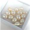 Image 2 : Fresh Water Pearl Half Drill 10G , Suggested Retail Value $200