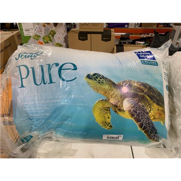 Sealy pure queen size pillows, pack of 2