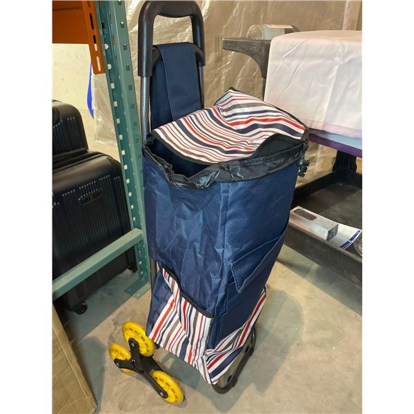 Light weight rolling tote bag