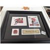 Image 1 : Bobby Hull  Framed Hockey Card