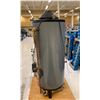 Image 2 : RHEEM ( G72-250 ) WATER HEATER ON A PALLET