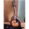 Image 5 : Epiphony Mandolin MM30-VS Rouge Valley Case