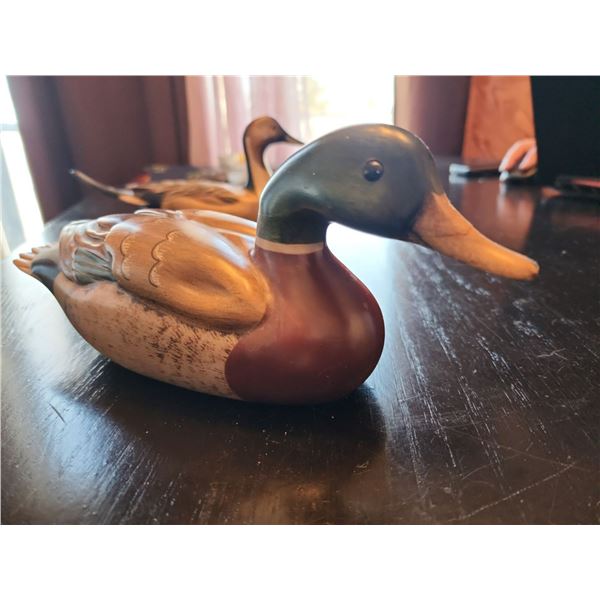 Tom Taber Wood Duck - Golden Moments