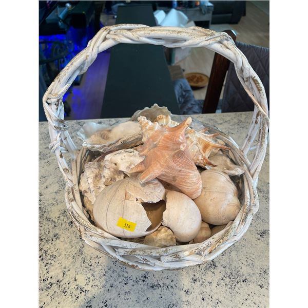 Basket of Seashells and Sand Dollars