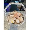 Image 1 : Basket of Seashells and Sand Dollars