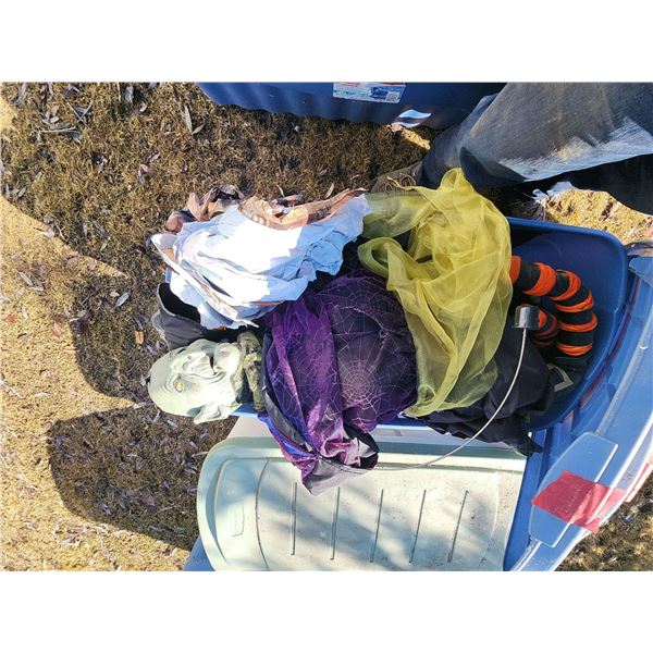 Halloween Witch and Decor