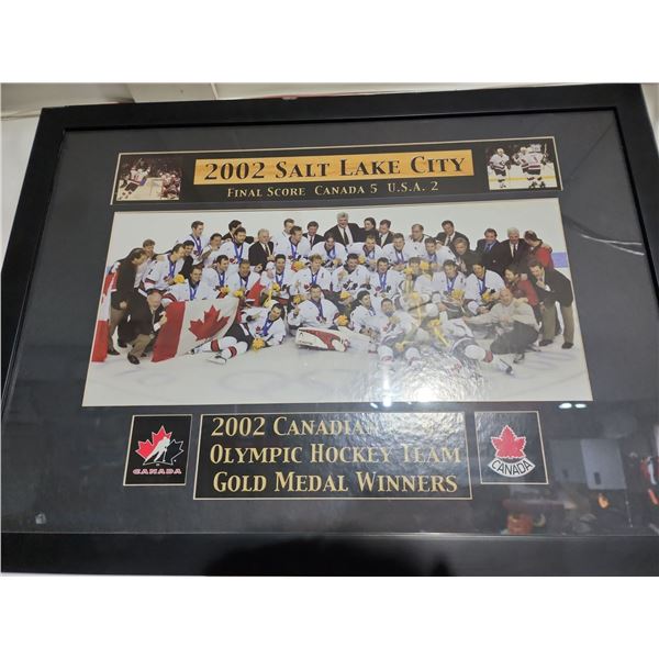 2002 Salt Lake City Canada Olympic Team Gold Medal 28 x 20