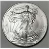 Image 1 : 2009 American Silver Eagle