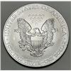 Image 2 : 2009 American Silver Eagle