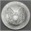 Image 2 : 1996 American Silver Eagle