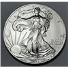 Image 1 : 2011 American Silver Eagle