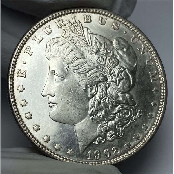 1902 Morgan Silver Dollar MS64 PL