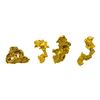 Image 2 : Lot of Mexico Gold Nuggets 2.64 Grams Total Weight
