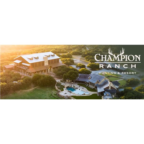 CHAMPION RANCH: 3-Day Nilgai Hunt for One Hunter/One NH in Texas ...