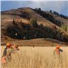 Image 1 : FLYING B: 3-Day Upland Bird Wingshooting for Two in Idaho - Includes Orvis O/U FABARM Shotgun