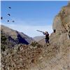 Image 3 : FLYING B: 3-Day Upland Bird Wingshooting for Two in Idaho - Includes Orvis O/U FABARM Shotgun