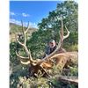 Image 1 : WILDLIFE SYSTEMS: 4-Day/4-Night Free-Range Elk Hunt for One Hunter in Texas - Includes Trophy Fee