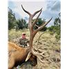 Image 2 : WILDLIFE SYSTEMS: 4-Day/4-Night Free-Range Elk Hunt for One Hunter in Texas - Includes Trophy Fee