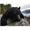 Image 2 : KILDALA  ADV: 7-Day Spring Black Bear for One Hunter in B.C., Canada - Includes Trophy Fee