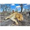 Image 2 : (UPDATED) SAFARI ROYAL:21-Day Full Bag Lion Hunt GUIDED BY MIKE ANGELIDES for One Hunter in Tanzania