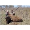 Image 2 : CHOCTAW LODGE: 3-Day Bison Hunt for One Hunter/One NH in Oklahoma - Includes Trophy Fee