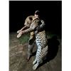 Image 2 : KILOMBERO NORTH: 14-Day Leopard/Buff Hunt w/RICK WARREN for One Hunter in Tanzania-Includes Trophies