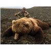 Image 2 : ALASKACHALLENGE: 10-Day Brown Bear Hunt for One Hunter in Alaska - Includes Trophy Fee