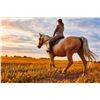 Image 3 : RANGER RIDGE: 5-Day Exclusive Ranger Ridge Experience for Eight in Texas - Includes Trophy Credit